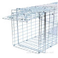 Live Bird Trap - Defenders Bird Cage Trap